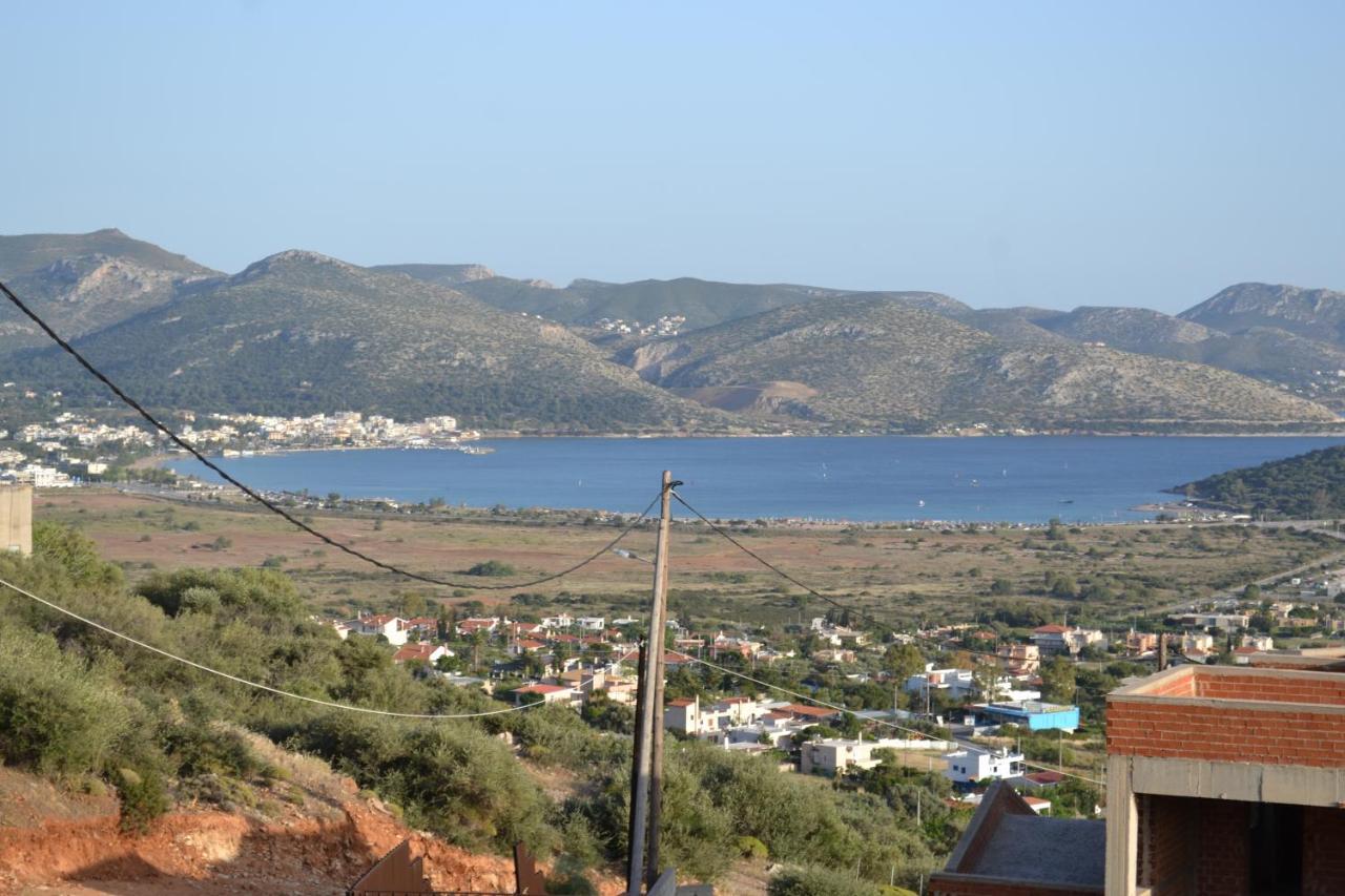 "Stergiou Luxury Apartments" Με Κοινη Πισινα Saronida Kültér fotó